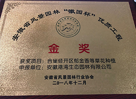 榮譽證書