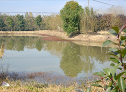苗圃風(fēng)采