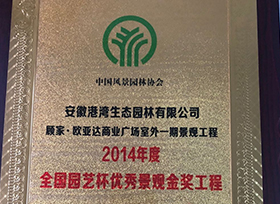 獎項證書