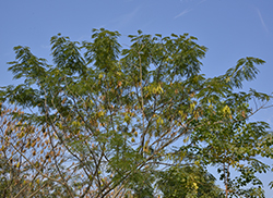苗圃風(fēng)采
