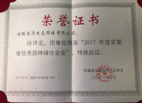 榮譽(yù)證書(shū)