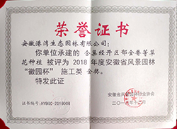 合巢經(jīng)開區(qū)郁金香-金獎(jiǎng)