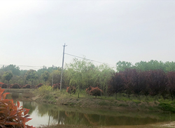 苗圃風采