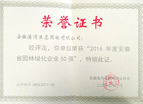 榮譽證書