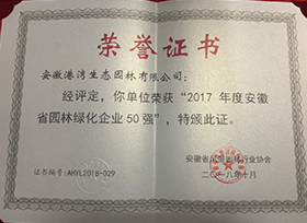 榮譽證書