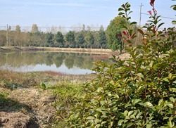 苗圃風(fēng)采