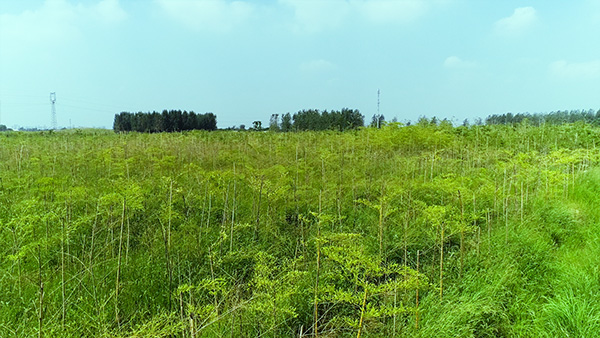 未標題-2.jpg