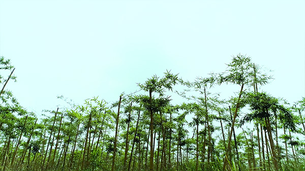 未標題-2.jpg