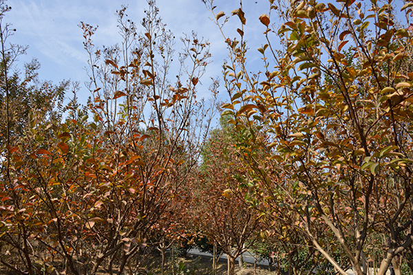 未標題-2.jpg