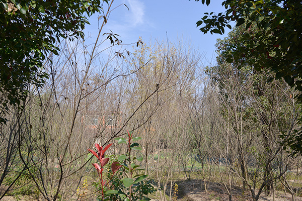 未標題-2.jpg