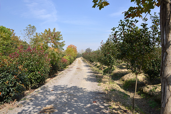 未標題-2.jpg