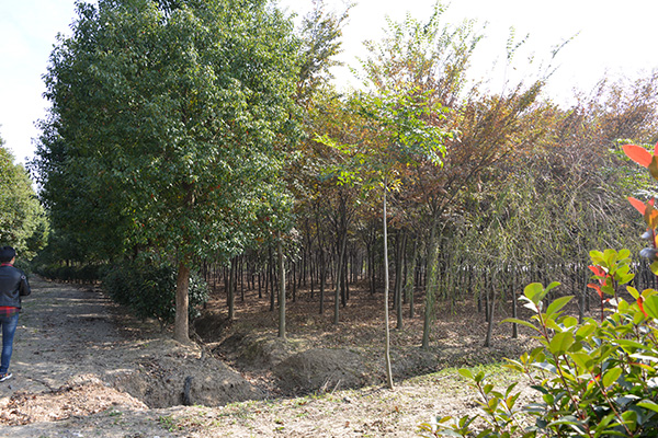 未標題-2.jpg