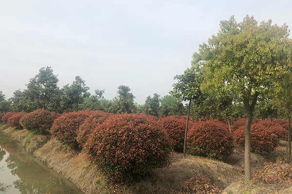 未標(biāo)題-2.jpg