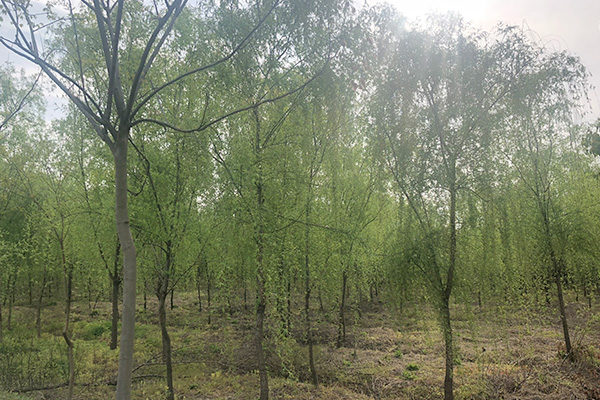 未標(biāo)題-2.jpg