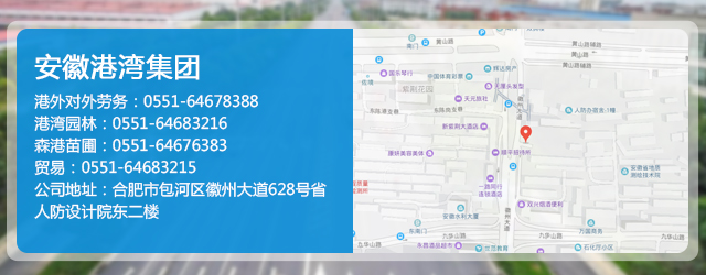 手機(jī)地圖.jpg